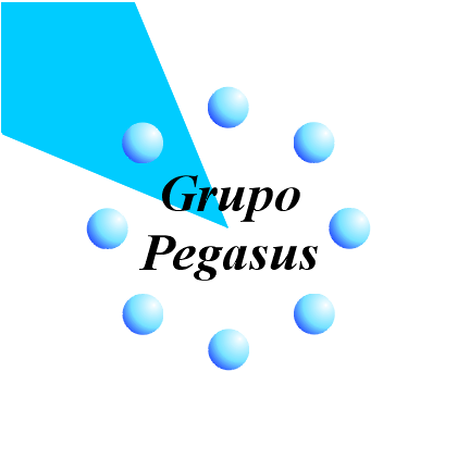 Grupo Pegasus